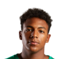 罗纳尔多