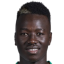 P.盖耶
